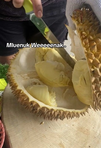 Discover Durian Montong Kani from Singaraja, Bali