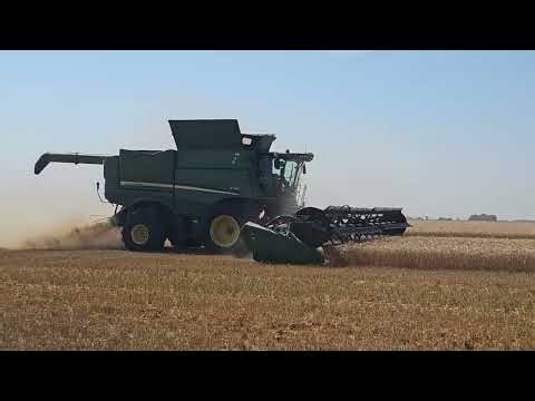 2025 John Deere S780 Spring Wheat Harvest