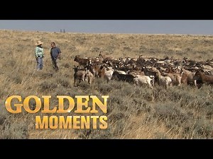 Goat Lady (Texas Country Reporter)