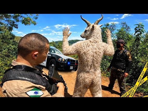 Police officer helps capture goat-headed creature.