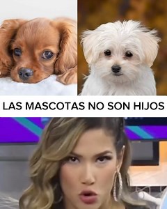 56K views · 609 reactions | SON COMPAÑIA, NO HIJOS  ¿Que opinas? | Matias Casas House | Facebook