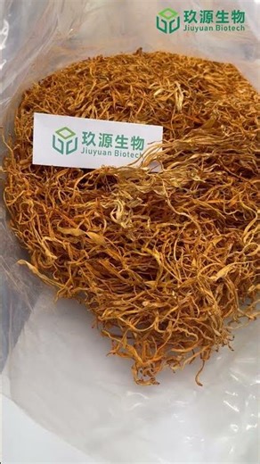 A new batch of Cordyceps flower extract powder from Jiuyuan Biotech #plantextracts
