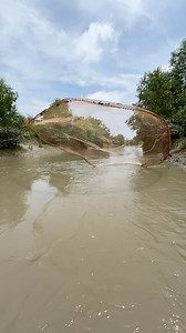 Sundarban river cast net fishing #reels #riverfishing #bdfishing #CastNetFishing #fishing #bdfishing #riverfishing #fishingtrip #fishinglife #viralreelsシ bd fishing | BD Fishing
