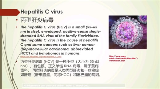 Viruses 33 HCV