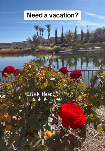 Dreamy Spring Break Getaway at The Westin Lake Las Vegas