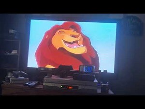 Opening To The Fox And The Hound 1994 VHS