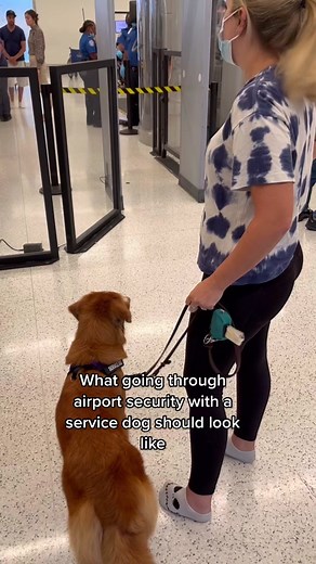 This is what it should look like when you go through airport security with a service dog. 🦮✈️ (note: you do not have to take your dog’s gear off unless you want to. You always have the option of having the dog go through with gear and leash on, but your dog will get a pat down if the alarm goes off.) #servicedog #servicedogtravel #airportsecurity #servicedogteam #servicedogtraining
