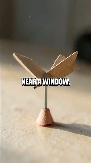 Wind Wise at Home: A Simple Cardboard Wind Vane Experiment