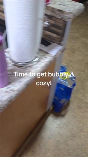 There’s just something about cold weather that calls for sourdough 🤍 Pulled her out of the fridge and getting her ready for some cozy baking days ahead. If you know… you know 🍞 Tell me — sandwich bread, rolls, or a big crusty loaf first? #PorchSlice #ColdWeatherCooking #SourdoughSeason #CozyHomeVibes #SimpleLivingMoments