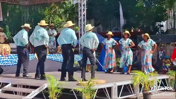 #traditionel#rodrigues#sega#fyp#viral#festival#creole#