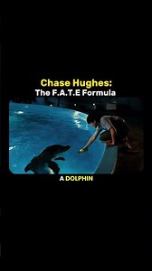 The 4 Psychological Triggers That Control Human Behavior | Chase Hughes #chasehughes