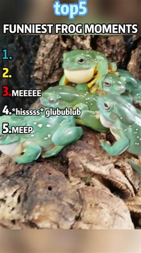 Top 5 Funniest Frog Sounds 🐸😂