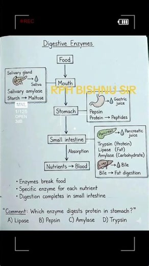 Biological Classification #popular #trending