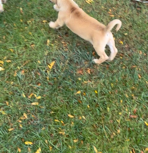 Milo Foundation on Reels