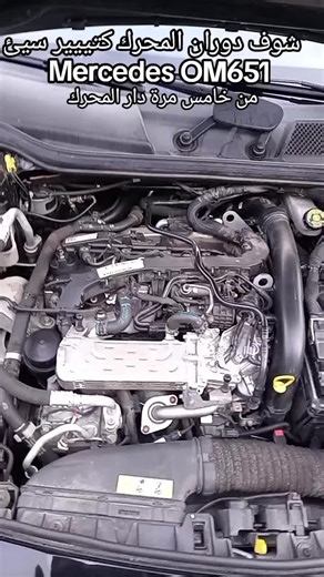 Mercedes OM651 Engine Performance Issues Explained