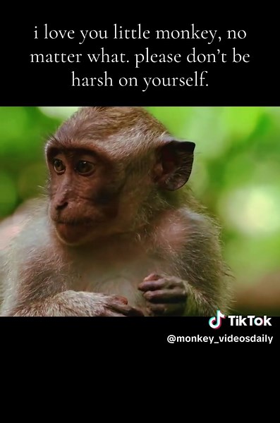 Do not let your insecurities define or control you. You are perfect no matter what. (content is not mine) #insecuritys #monkey #fyp #selfcare #lovemonkeys