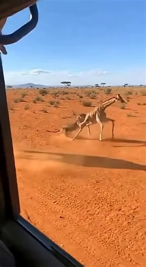 Amazing AI Video Showcasing Wild Animals