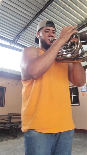 Marching Band Baritone: Mastering Your Skills