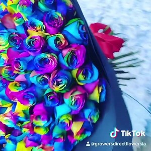 Would a rainbow rose bouquet make you or someone you love smile today? Rainbows symbolize the promise of⠀⠀⠀⠀⠀⠀⠀⠀⠀ good things to come. Who's down for that?⠀⠀⠀⠀⠀⠀⠀⠀⠀ ⠀⠀⠀⠀⠀⠀⠀⠀⠀ Hand-tied bouquet video @growersdirectflowersla CFM 102. Please DM them with questions. Rainbow rose bouquets must be pre-ordered. Local contactless delivery available. Reserve early for Valentine’s.⠀⠀⠀⠀⠀⠀⠀⠀⠀ ⠀⠀⠀⠀⠀⠀⠀⠀⠀ ⠀⠀⠀⠀⠀⠀⠀⠀⠀ #100roses #smiletodayandeveryday #rainbowcolors🌈 #valentinebouquet #rosebouquet #rainbowroses #