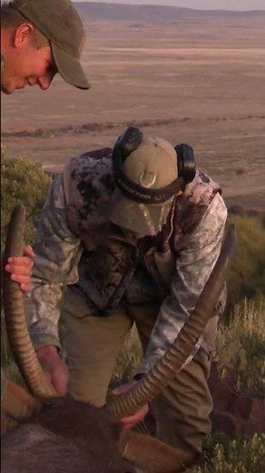 Hunt Waterbuck in South Africa #wildlife