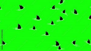 Sharks cartoon isolated greenbox version. No water reflection. Cute swimming animal character animation good as backdrop for intro, party, television programme, presentation, etc...
