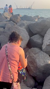 Bien raro este mapache color amarillo 😅😂🇸🇻 #ElSalvador #animals | Traveliando el salvador