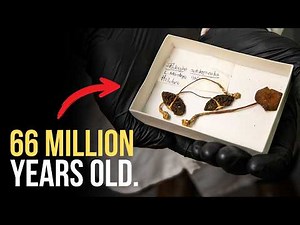 The Bizarre Evolution of Magic Mushrooms ✨