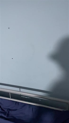 Old SML… #sml #jeffy #puppet #plush #mario