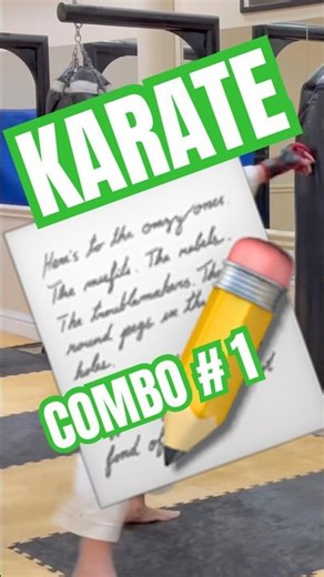 Karate Combo 1