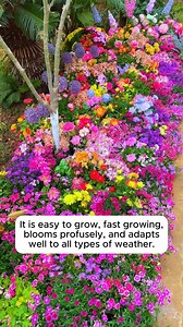 Growing flowers at home is easy #garden #gardening #plants #planting #planthacks #gardenhacks #gardeningmakemehappy #gardeningtips #gardeningideas #gardeninspiration #gardenlove | Gardening Hacks