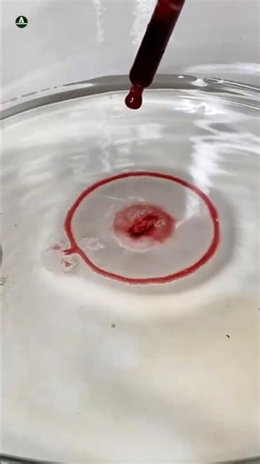 Why Hydrogen Peroxide Can Harm Your Skin 😨