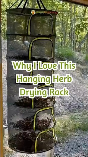Why I Love This Hanging Herb Drying Rack