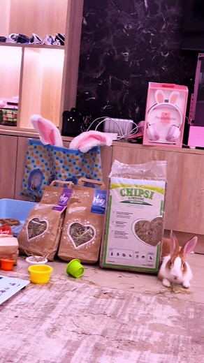 Welcome to a hay tasting featuring 8 different varieties! 🪴This video is especially for those with bunnies🐰! I’m picking out the best ones! Thanks for tuning in! #hay #bunnyeats #food #petbunny #bunnyathome🐇 🌸🩷😎