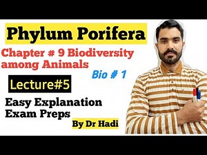 L-4 Phylum Porifera or Parazoa in Urdu Hindi by Dr Hadi