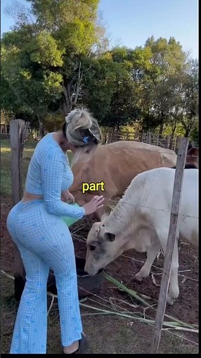 A Peaceful Afternoon at the Farm | Feeding Time #farmlife #naturelovers #cowgirl