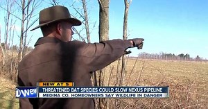 Bat species could be roadblock in NEXUS pipeline