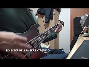 Schecter Hellraiser C4 vs Extreme C4 引き比べ 비교
