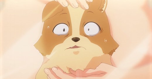 My Life as Inukai-san's Dog TV Anime Gets New Trailer, Visual, January 2023 Premiere Date - Anime Corner