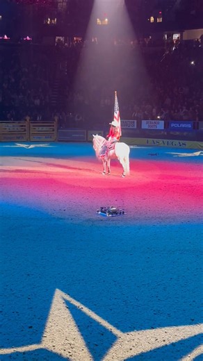 Mike Schultz on Reels