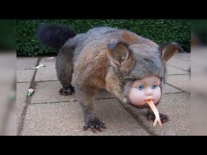 r/Askreddit What's The Strangest Thing That Happened To You That You Can't Explain?