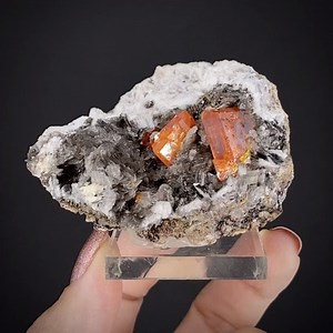 Wulfenite - Red Cloud Mine, Silver Mining District, La Paz County, Arizona, USA 💎 DM for pricing or email info@iRocks.com In addition to hosting several fine gem wulfenites, this aesthetic specimen comes with great provenance, as it has spent time in the collections of both Bill Larson and Caroline Martaud. The locality has been worked for nearly 150 years at this point, on and off, for ore production and specimen collecting. 6.3cm across. | The Arkenstone Gallery of Fine Minerals