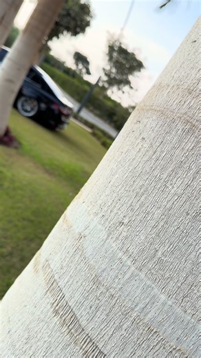 #fyp #renault #megane4 #bagged اكشن بدء العرض. 🦇. #مشاءالله_تبارك_الله