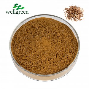 [Hot Item] Valerenic Acid Valerian Root Extract Powder HPLC Valeric Acid