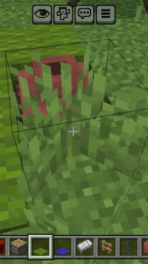 how to make Minecraft mein pet port kaise banaya jata hai