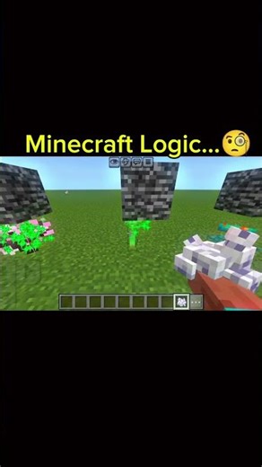 Minecraft Logic...🧐#bigguy