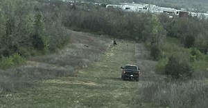 CATCH THOSE COWS: Cowboys wrangle escaped cows roaming since 2022 wreck