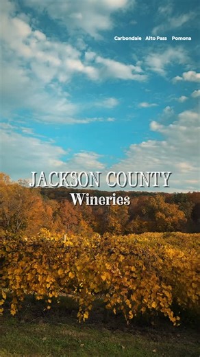 Southern Illinois Tourism on Instagram: "The wineries of Jackson County, Illinois 🍷 ✨ Hickory Ridge Vineyards - located in Pomona, this vineyard has breathtaking views, firepit, and charming vibes ✨ Pomona Winery - located in, you guessed it, Pomona, this winery was among the first three to start the Shawnee Hills wine trail! It also offers wine solely made from fruit that are NOT grapes; mainly apple, like their famous Johnathan or Orchard Spice ✨ Von Jakob Winery & Brewery - located in Alto P
