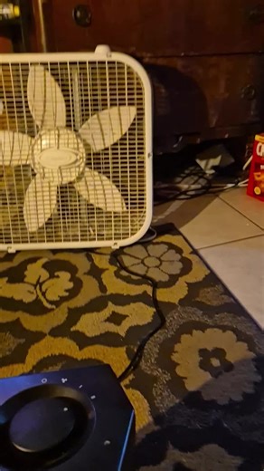 CutthroatMacaw🦜🗡 (@invasivelittlecasper)’s videos with original sound - CutthroatMacaw🦜🗡