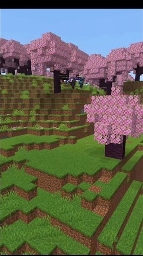 Lvl 99000 Minecraft pro #minecraft