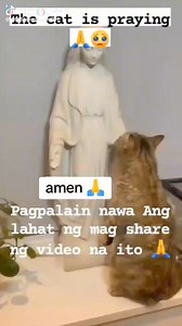 Cat Praying | Marilou Castillon